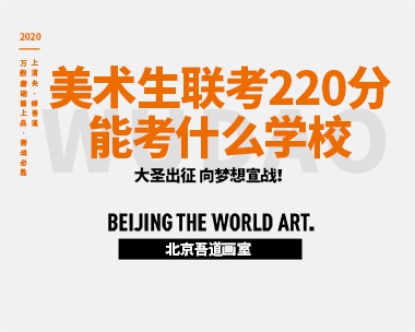 美术生联考220分能考什么学校